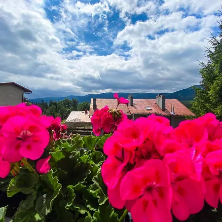 Bed & Breakfast Willa Sonata - Apartamenty & Balia - Szklarska Poreba